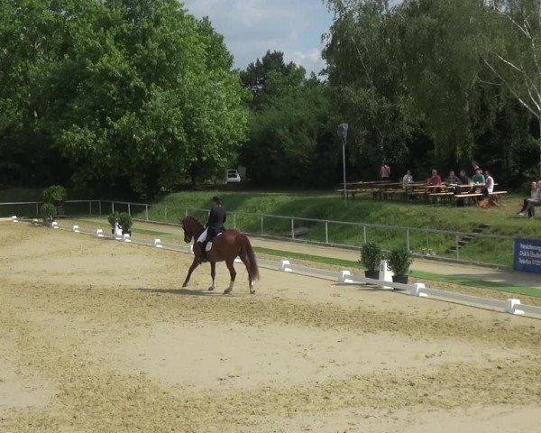 Reitturnier Ladenburg 2018
