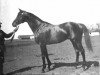 stallion Charles The Bold xx (Thoroughbred, 1924, from Teddy xx)