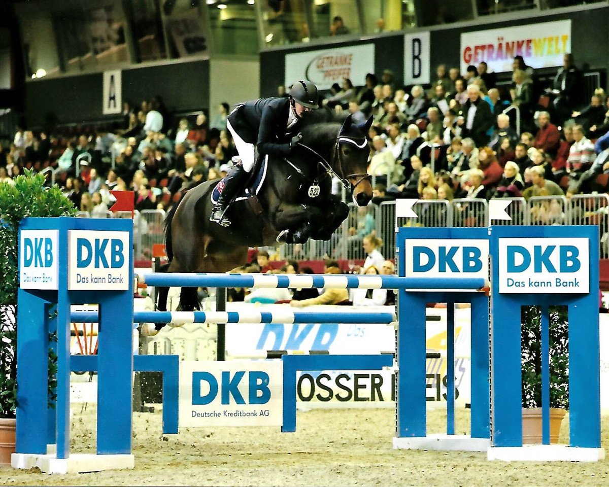 jumper Maicon (Rhinelander, 2006, from Montender)