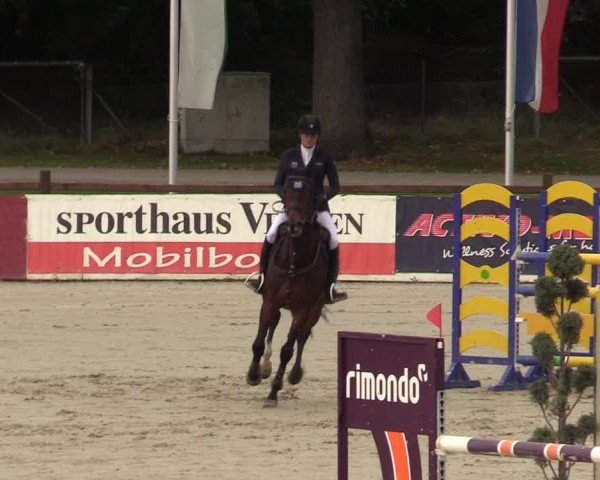 Reitturnier Westergellersen 2021