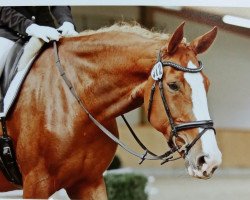 dressage horse Carry B (Westphalian, 2011, from Catum)