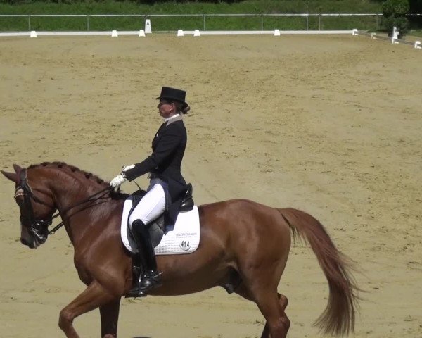 Reitturnier Ladenburg 2018