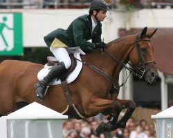 jumper Nabab’s Son (Zangersheide riding horse, 1998, from Nabab de Rêve)