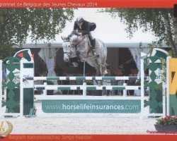 jumper Ironman van Klapscheut (Belgian Warmblood, 2008, from Sheyenne de Baugy)