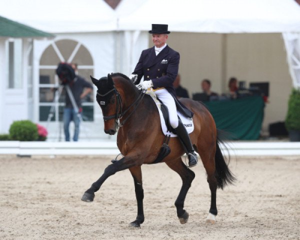 dressage horse Sammy Deluxe 4 (Westphalian, 2006, from Sir Donnerhall I)