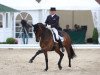 dressage horse Sammy Deluxe 4 (Westphalian, 2006, from Sir Donnerhall I)