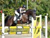 jumper Sweet Chocolate Lady (German Riding Pony, 2005, from Kelts de Angelo)