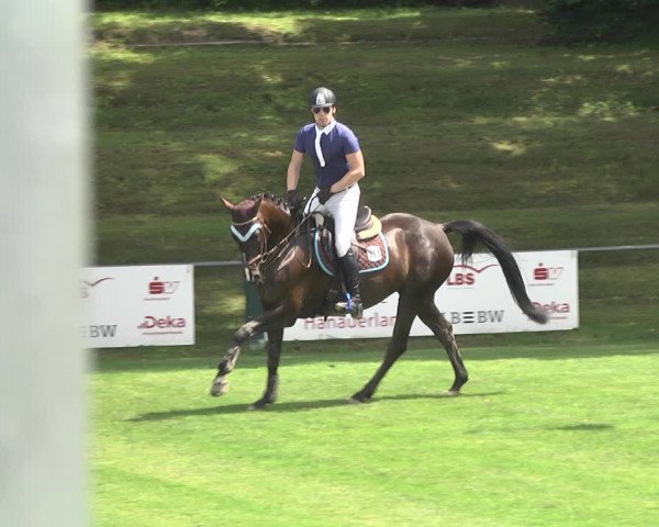 Reitturnier Legelshurst 2018