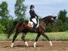 dressage horse Ferrell (Hanoverian, 2009, from Fidertanz)