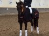 dressage horse Jay F. (Rhinelander, 2011, from Jazz)