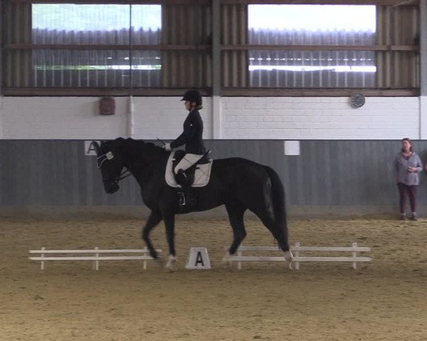 Reitturnier Dortmund-Asseln 2018
