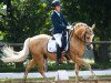 dressage horse Duke 272 (German Riding Pony, 2008, from Danny Gold)