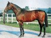 stallion Manacle xx (Thoroughbred, 1964, from Sing Sing xx)