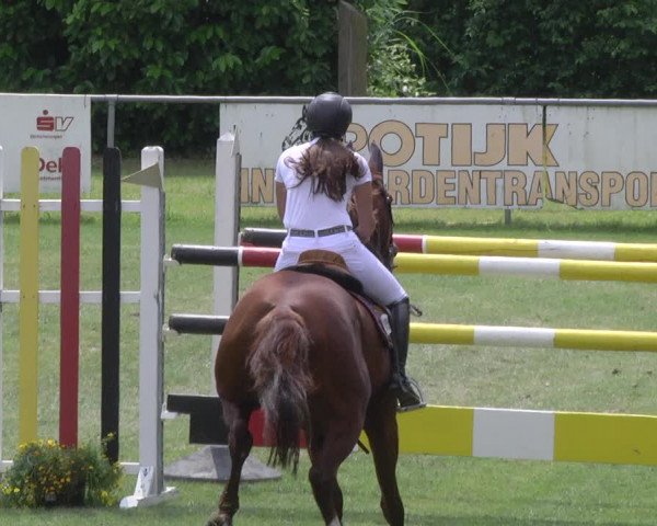 Reitturnier Legelshurst 2018