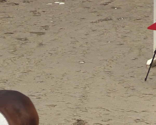 Reitturnier Erkrath - Uhlenhof 2018