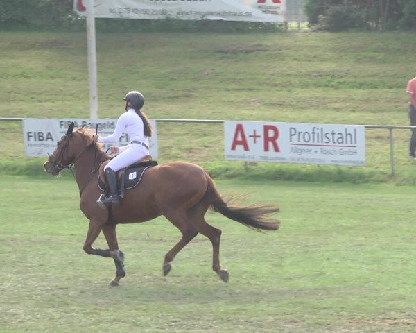 Reitturnier Legelshurst 2018