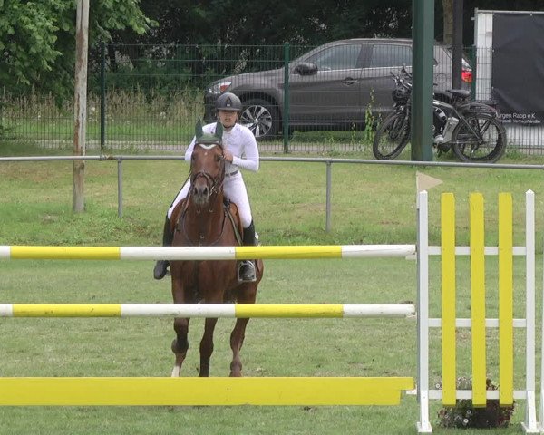 Reitturnier Legelshurst 2018