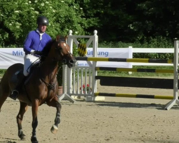 Reitturnier Isny-Rohrdorf 2018