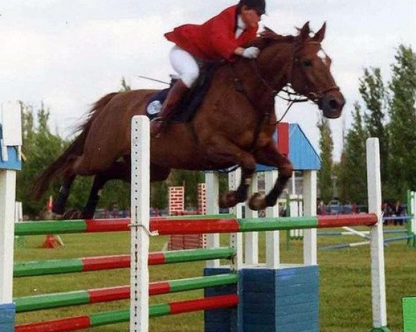 Zuchtstute Teplitsa (Russisch Trakehner, 1988, von Espadron 40)