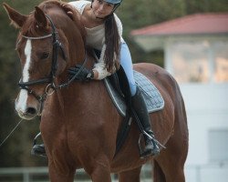 broodmare Maddy 9 (German Sport Horse, 2005, from Carpe noctem)