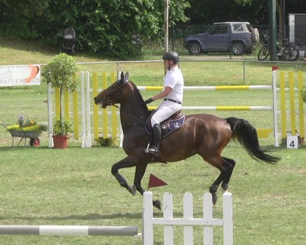 Reitturnier Legelshurst 2018