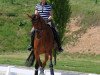 dressage horse Stanic (Oldenburg, 2009, from Sungold 2)