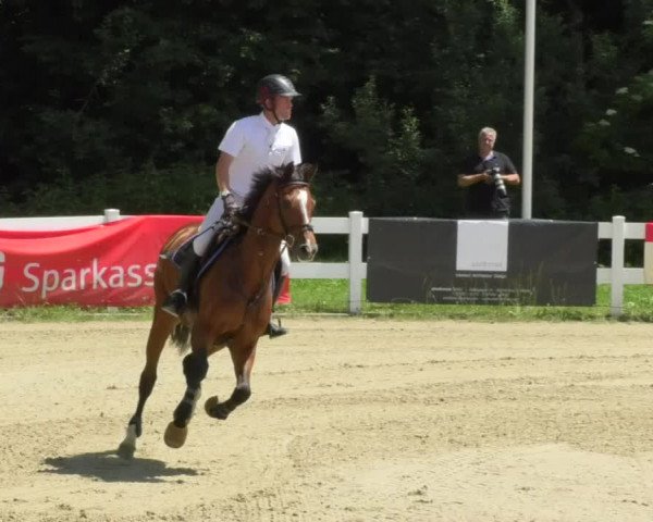 Reitturnier Isny-Rohrdorf 2018