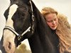 dressage horse Delea (Westphalian, 2001, from Donnerruf)