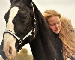 dressage horse Delea (Westphalian, 2001, from Donnerruf)