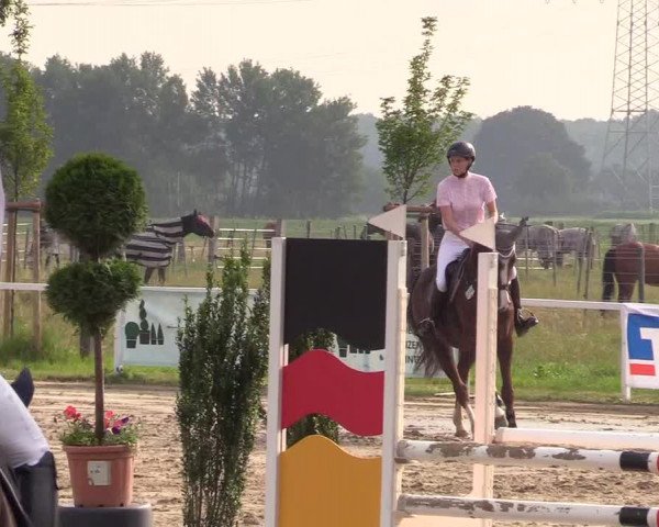 Reitturnier Dortmund-Asseln 2018