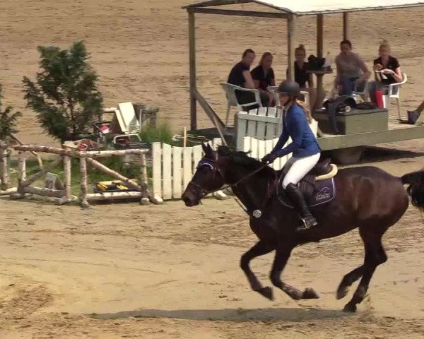 Reitturnier Erkrath - Uhlenhof 2018