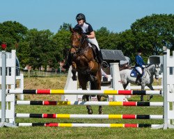 broodmare Check Girl 2 (Oldenburg, 2011, from Checkland)