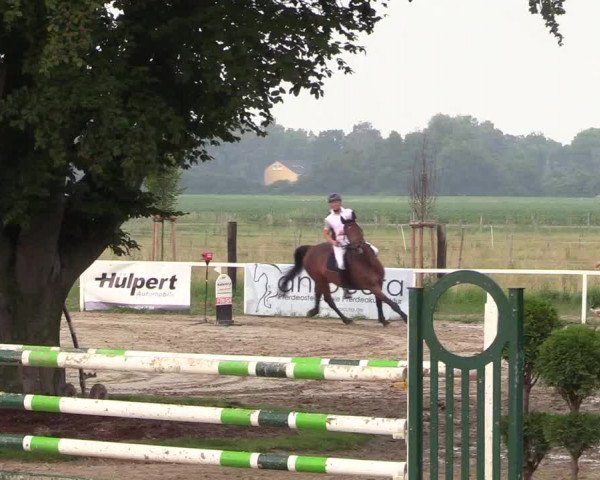 Reitturnier Dortmund-Asseln 2018