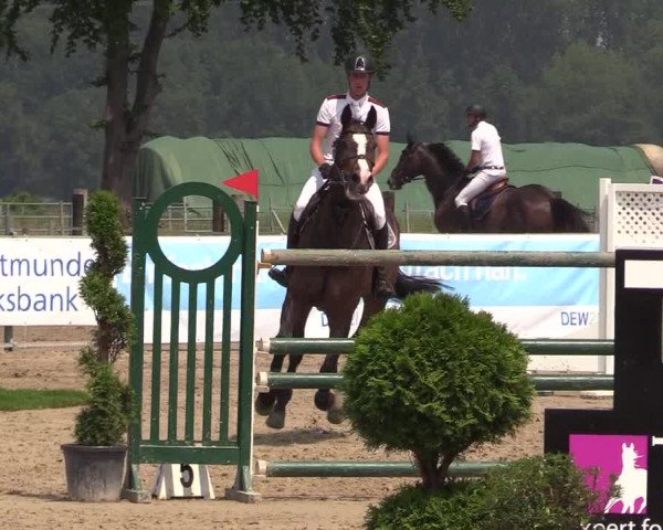 Reitturnier Dortmund-Asseln 2018