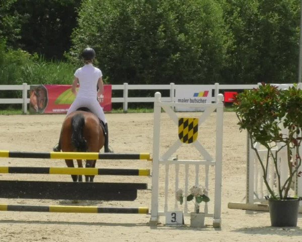 Reitturnier Isny-Rohrdorf 2018