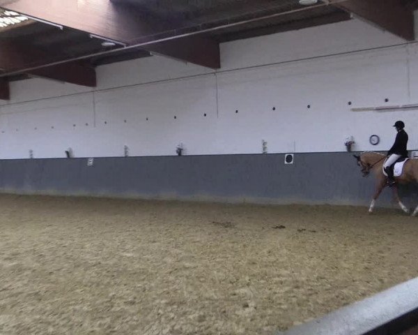 Reitturnier Dortmund-Asseln 2018