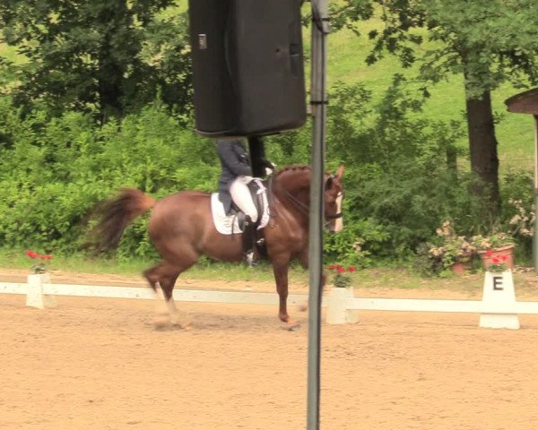 Reitturnier Erkrath - Uhlenhof 2018