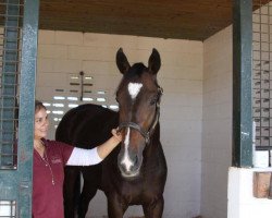 broodmare Samantha Nicole xx (Thoroughbred, 2011, from Medaglia d'Oro xx)