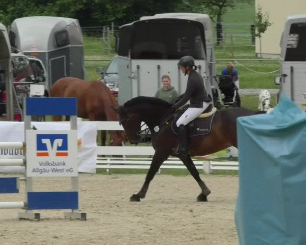 Reitturnier Isny-Rohrdorf 2018