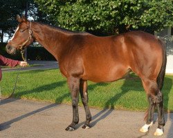 broodmare Missile Bay xx (Thoroughbred, 2002, from Yes Its True xx)