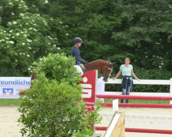 Reitturnier Isny-Rohrdorf 2018