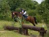 jumper Amurat 4 (Little German Riding Horse, 2002)