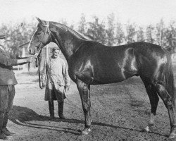 stallion Zagar xx (Thoroughbred, 1936, from Granit II xx)