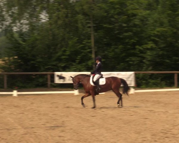 Reitturnier Erkrath - Uhlenhof 2018