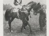 stallion Prince Oli xx (Thoroughbred, 1929, from Olibrius xx)