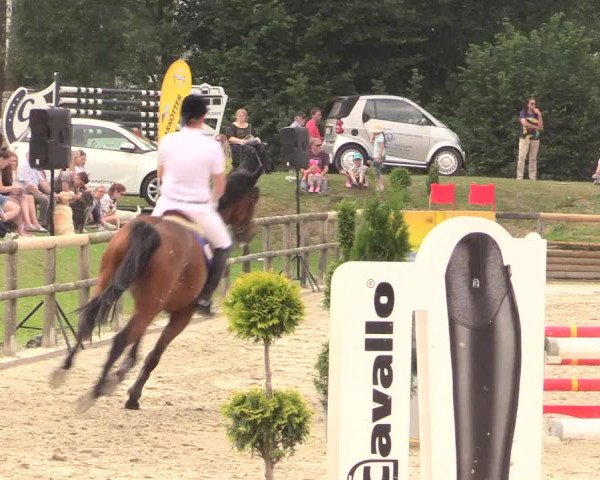 Reitturnier Detmold-Remmighausen 2018
