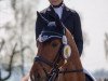 dressage horse Benedikt 33 (Hanoverian, 2009, from Belissimo NRW)