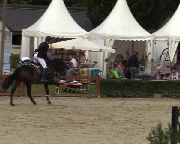 Equus Colonius - Reitanlage Brüse Köln 2021