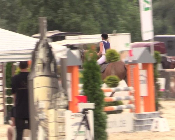 Reitturnier Detmold-Remmighausen 2018