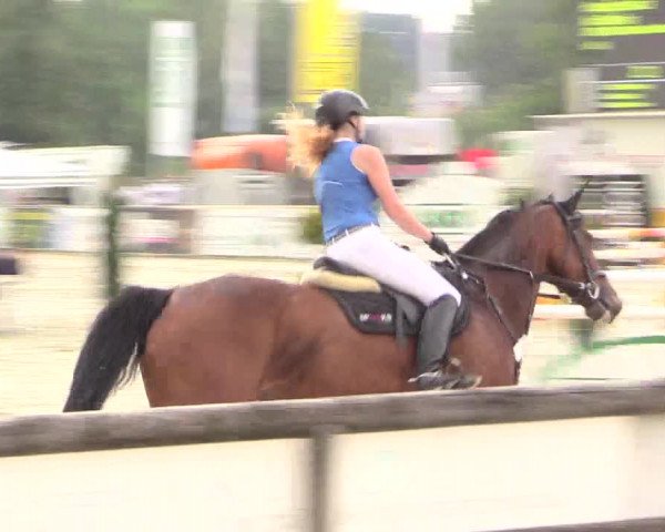 Reitturnier Detmold-Remmighausen 2018